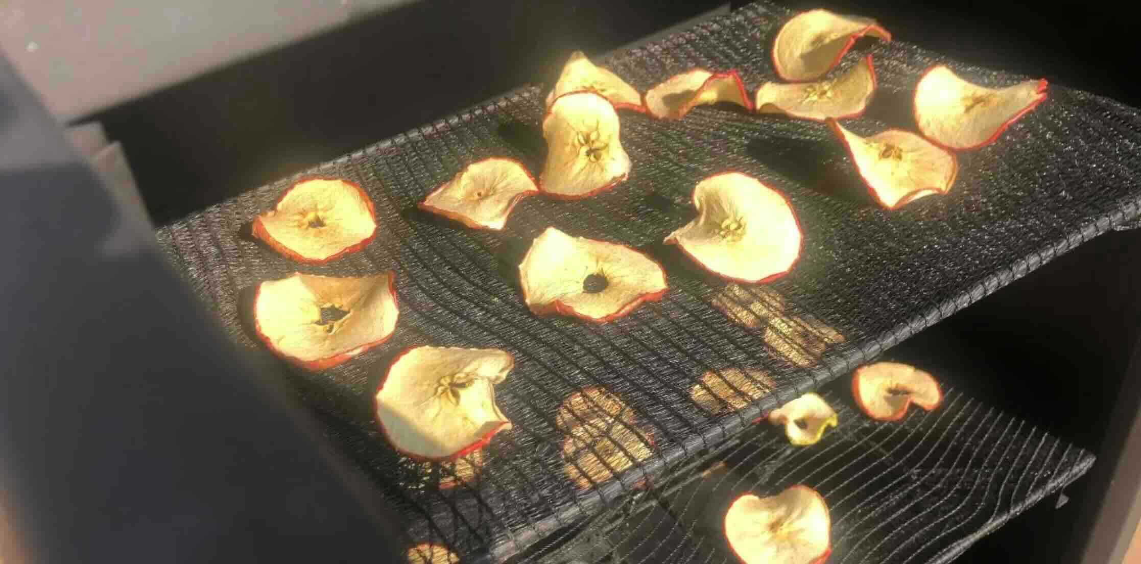 Solar-dryers tackling food waste and environmental health in Bulawayo, Zimbabwe